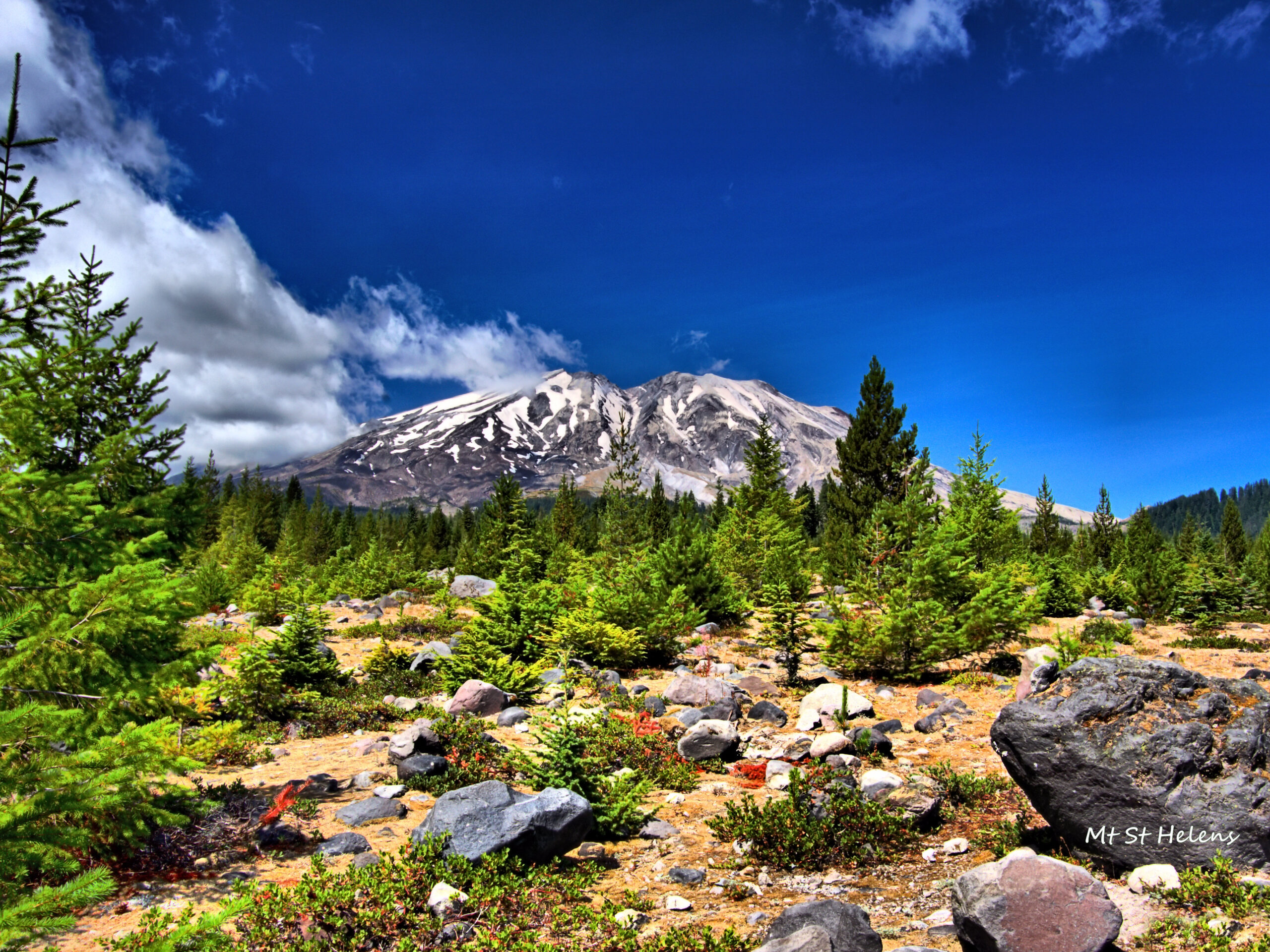 Woodland 3 - South Gateway - Mt St Helens South side